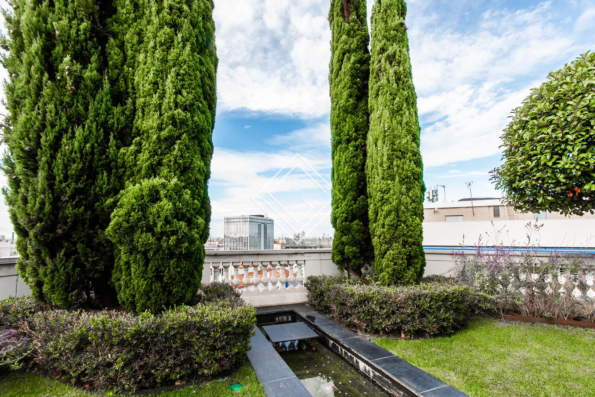 Imagen 49 de la propiedad