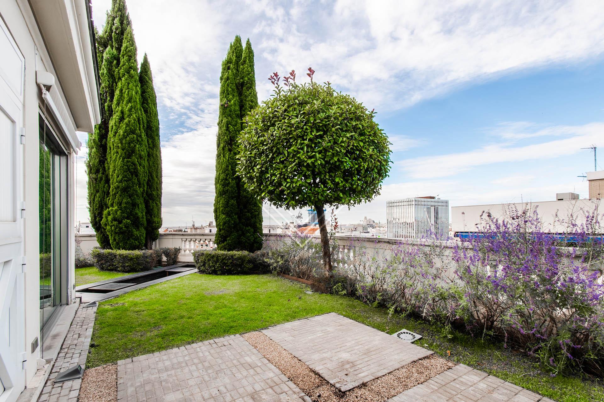 Imagen 44 de la propiedad