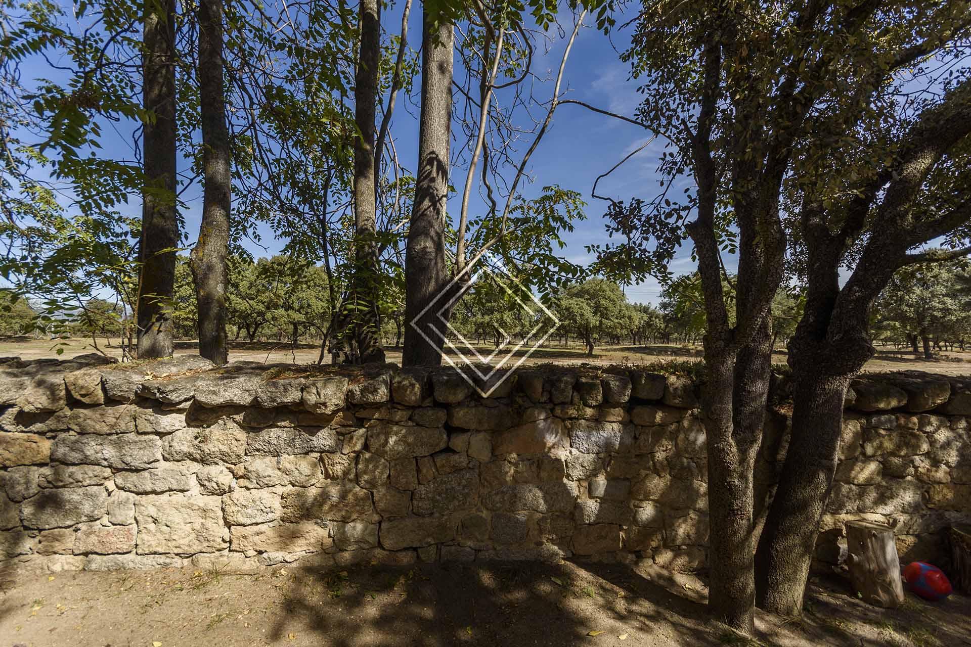 Imagen 21 de la propiedad