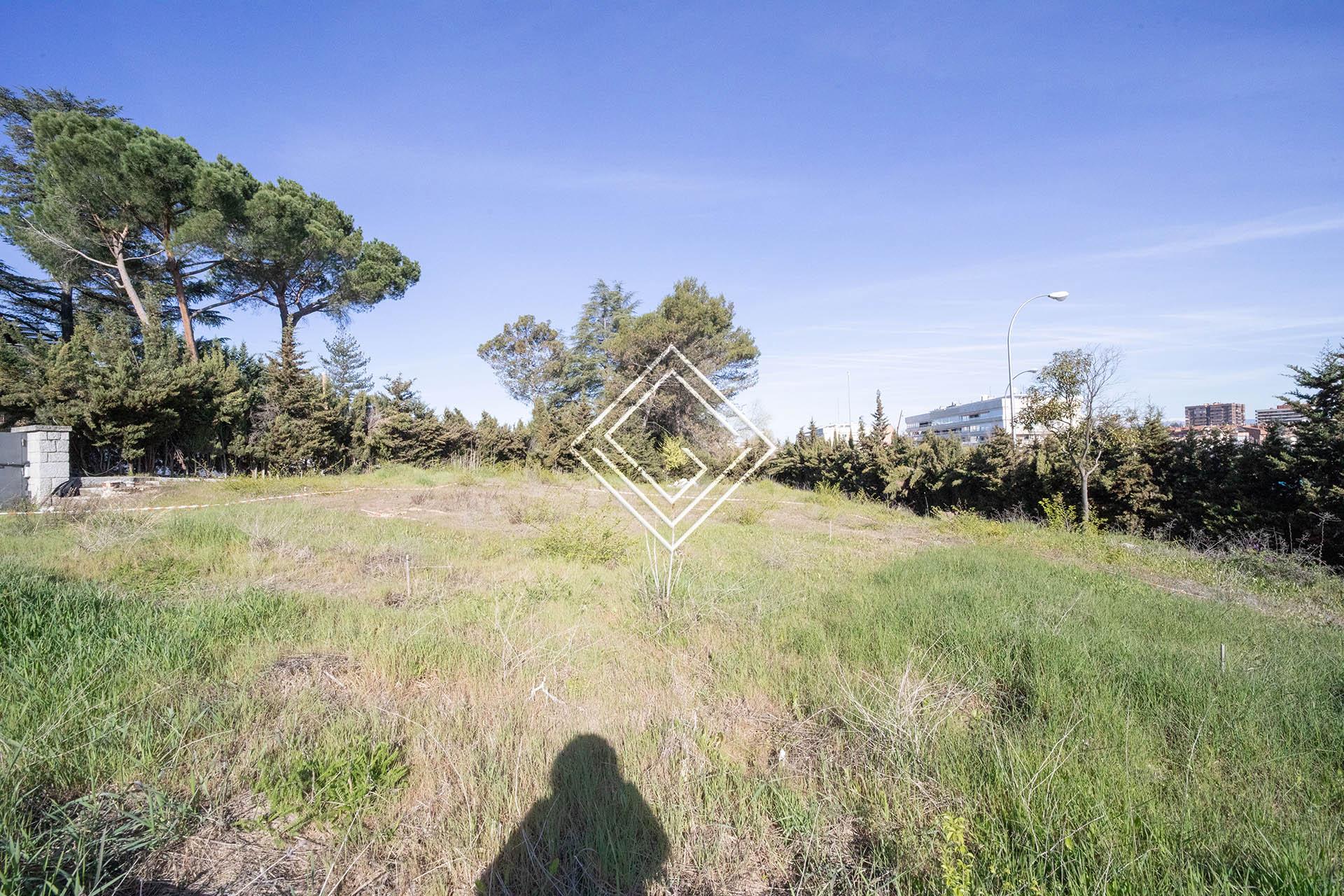 Imagen 7 de la propiedad