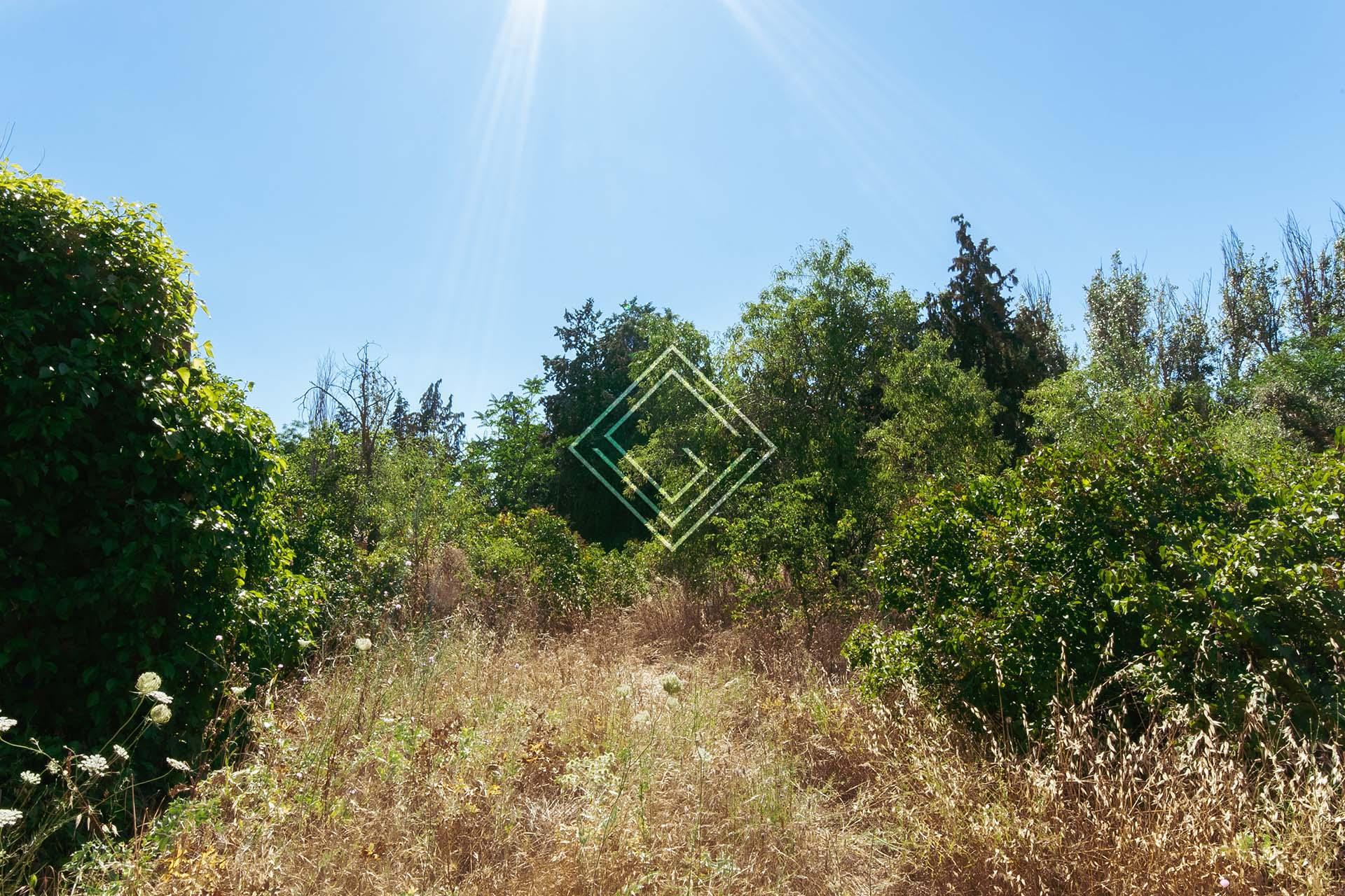 Imagen 2 de la propiedad