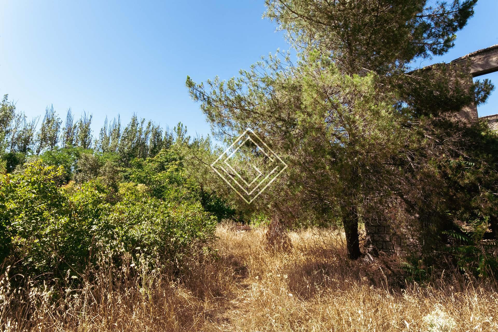 Imagen 3 de la propiedad