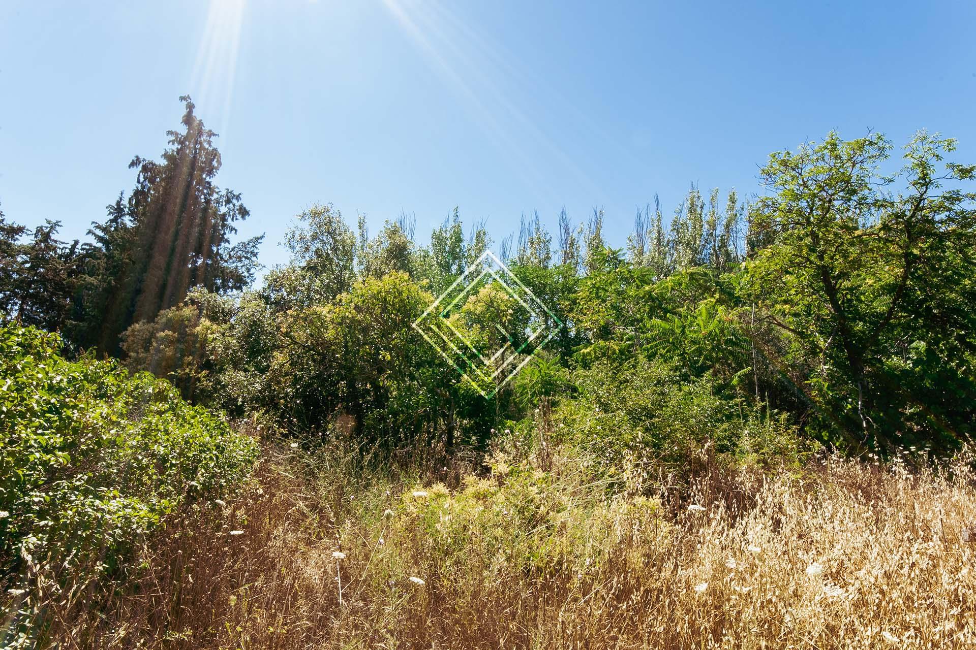 Imagen 4 de la propiedad