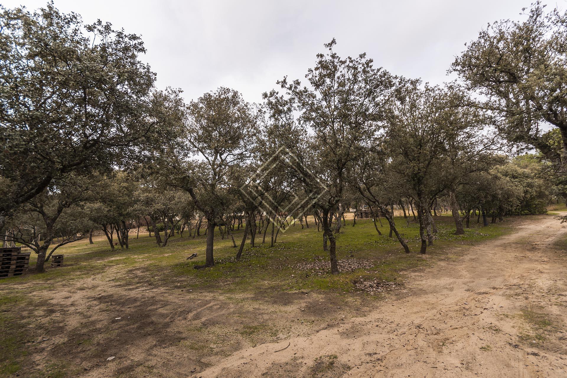 Elegancia y discreción en La Moraleja