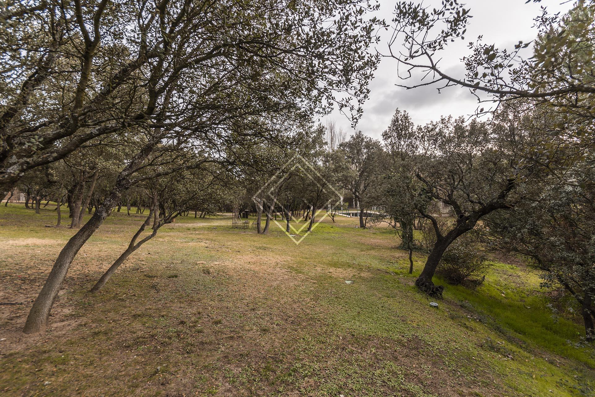 Elegancia y discreción en La Moraleja