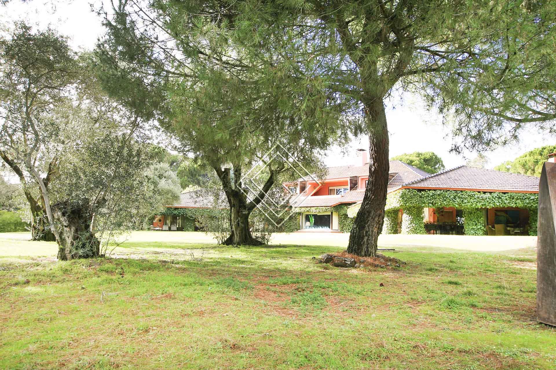 Imagen 5 de la propiedad