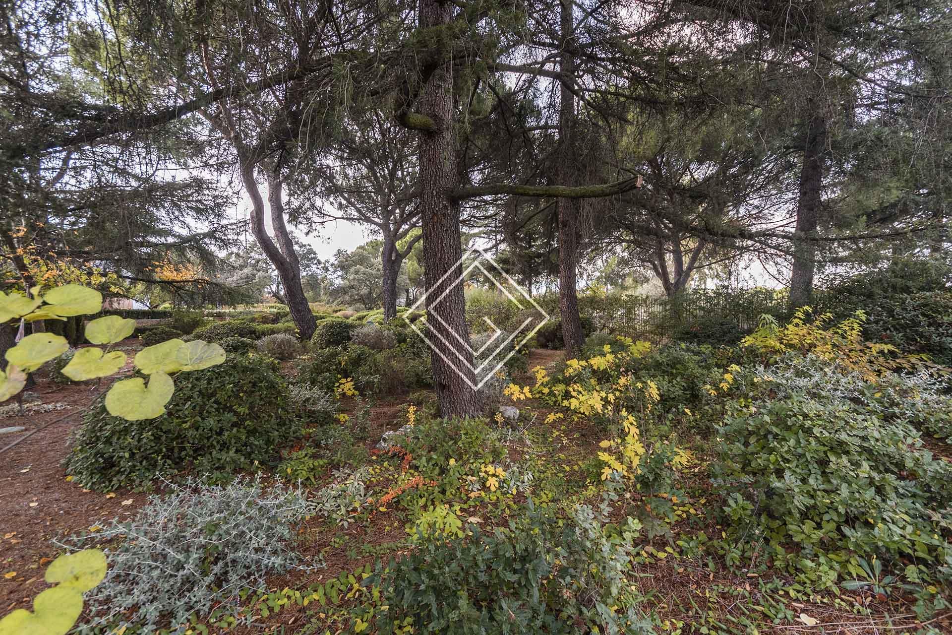 Imagen 10 de la propiedad