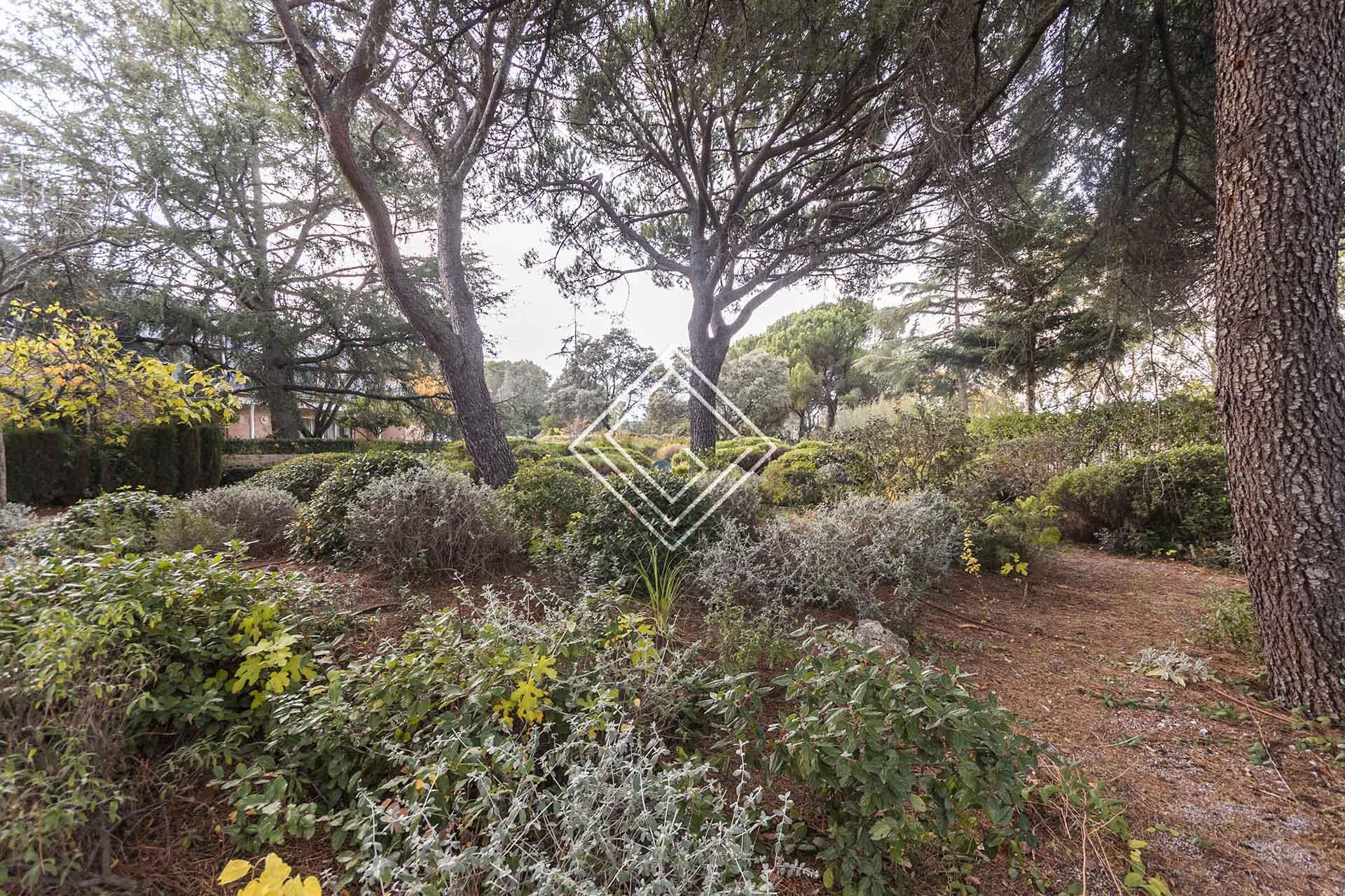 Imagen 11 de la propiedad