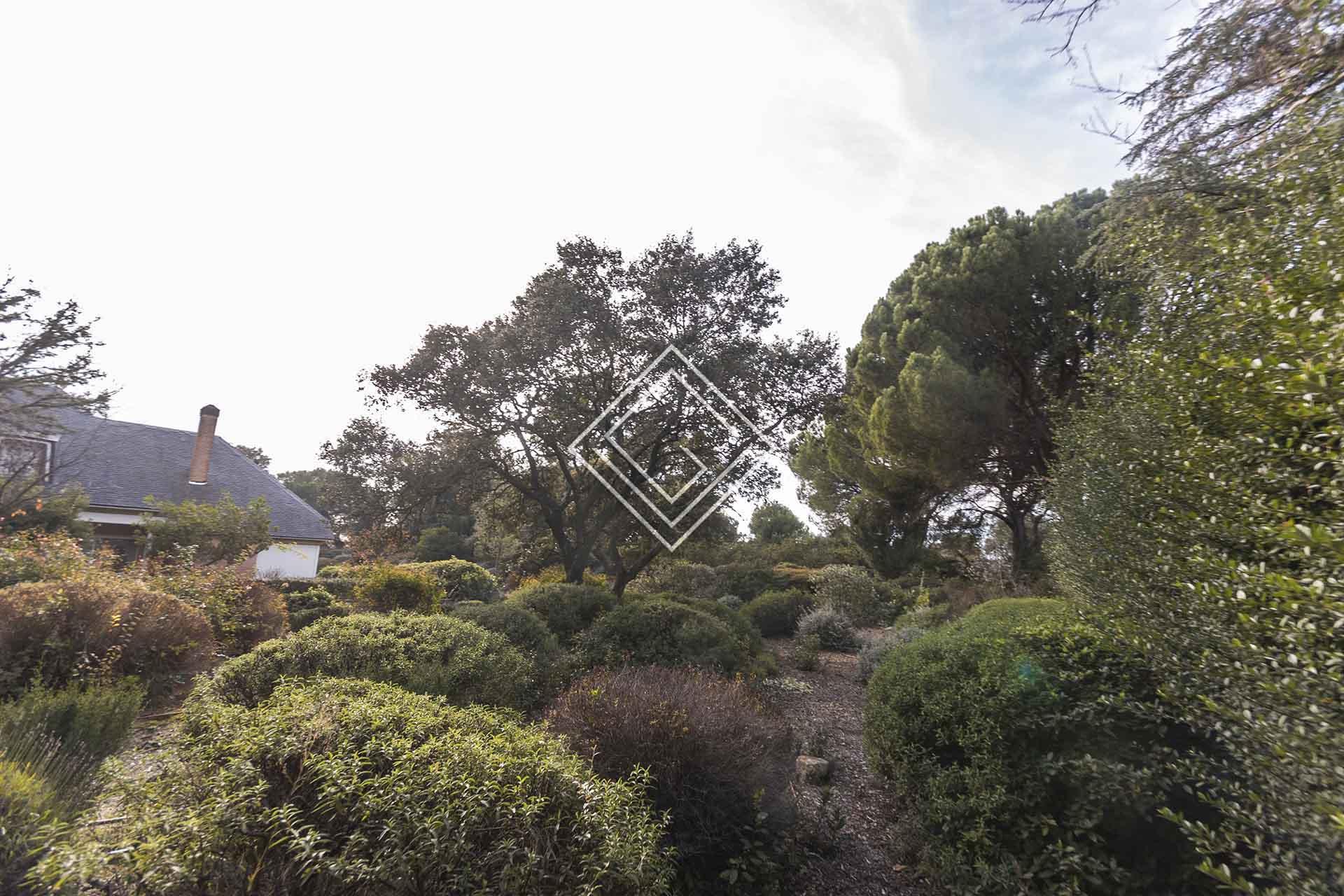 Imagen 14 de la propiedad