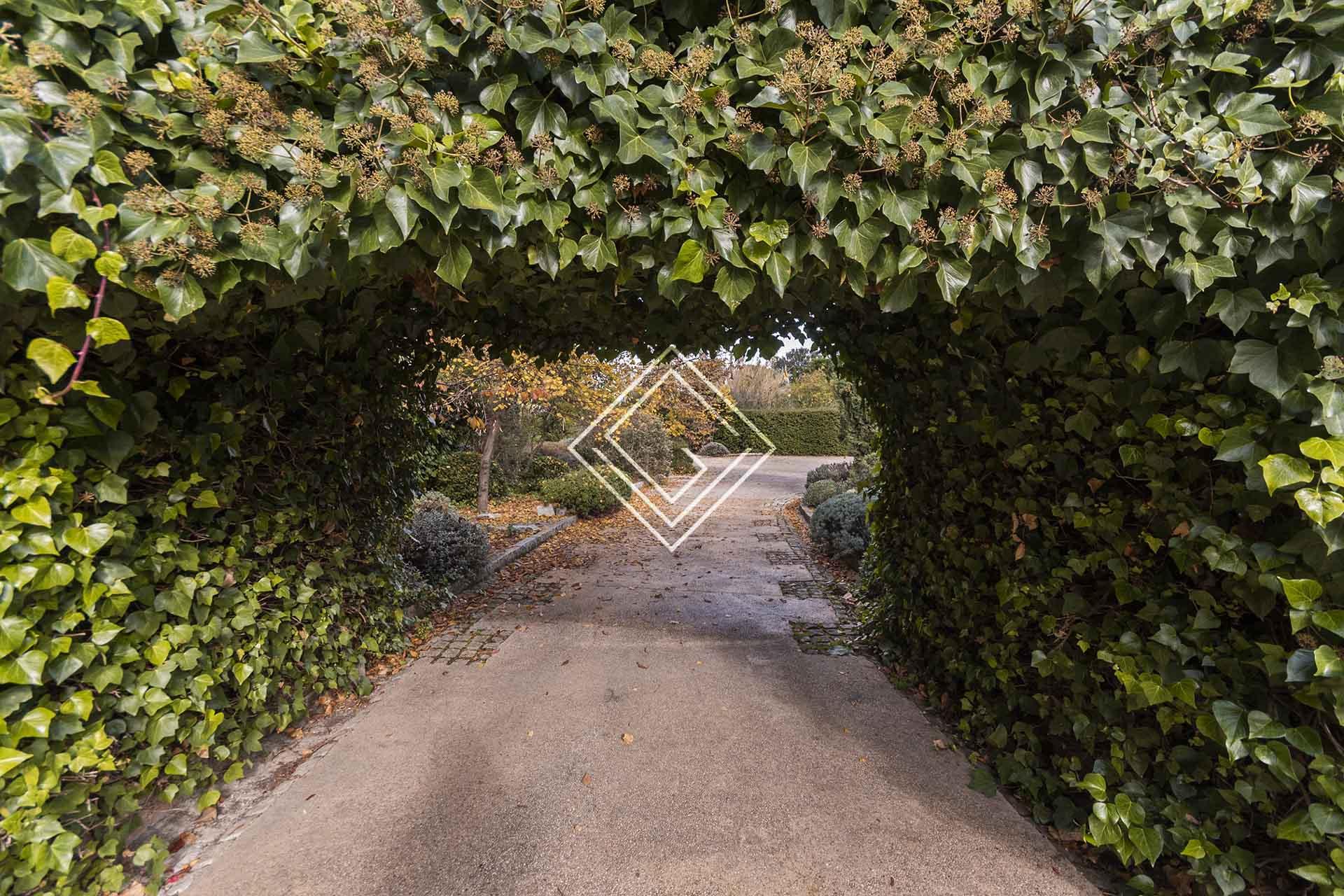 Imagen 6 de la propiedad