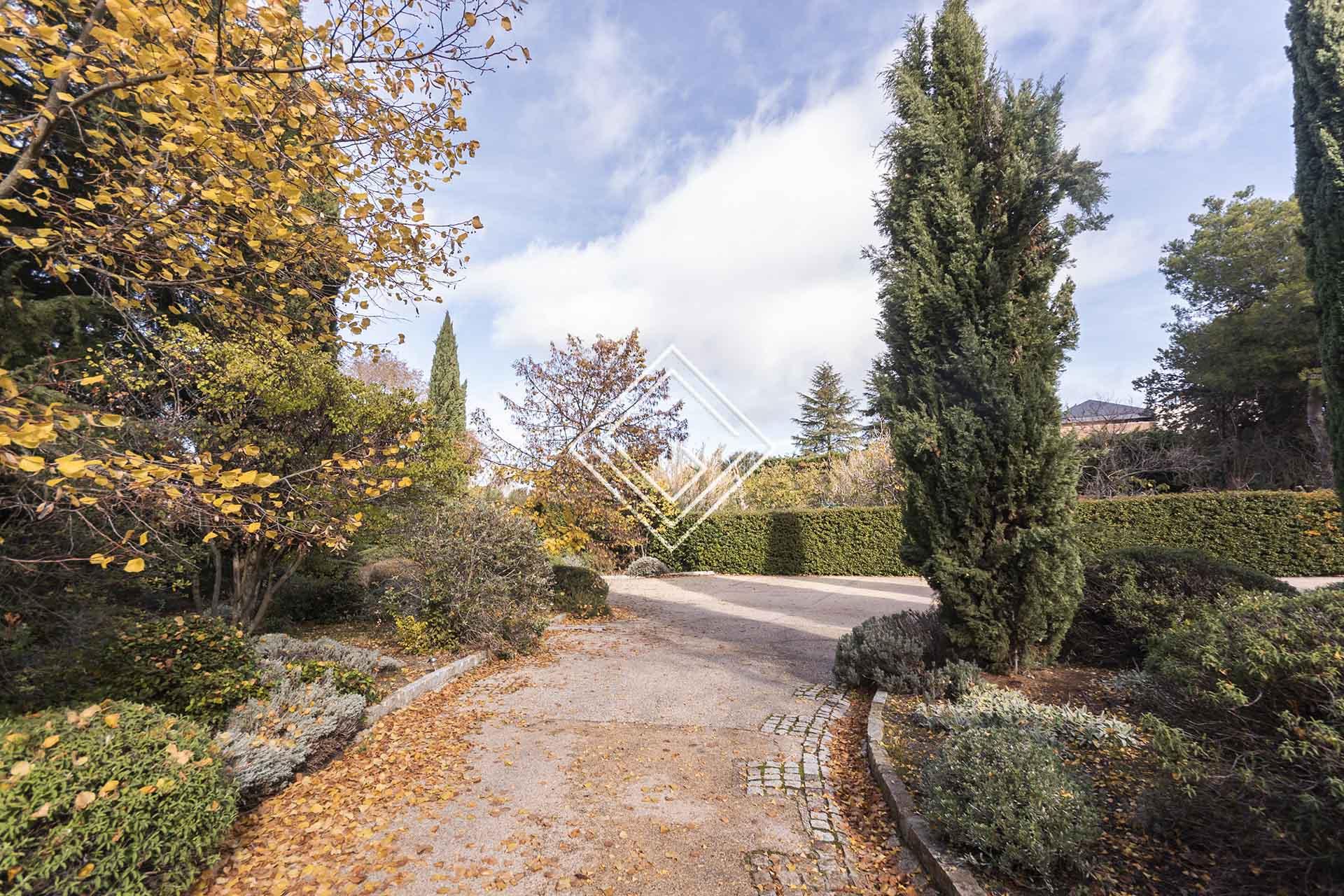 Imagen 8 de la propiedad