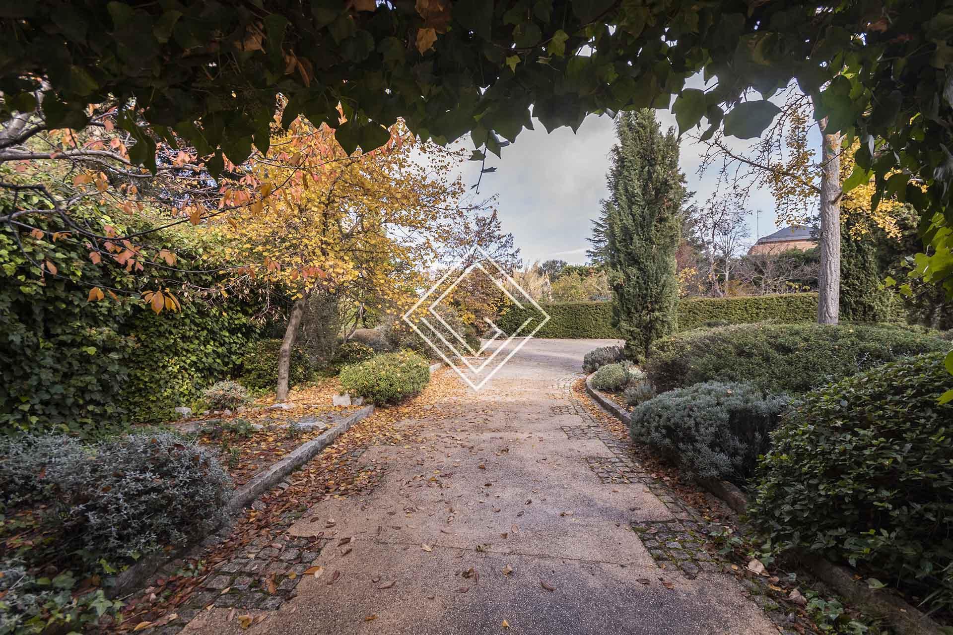 Imagen 7 de la propiedad