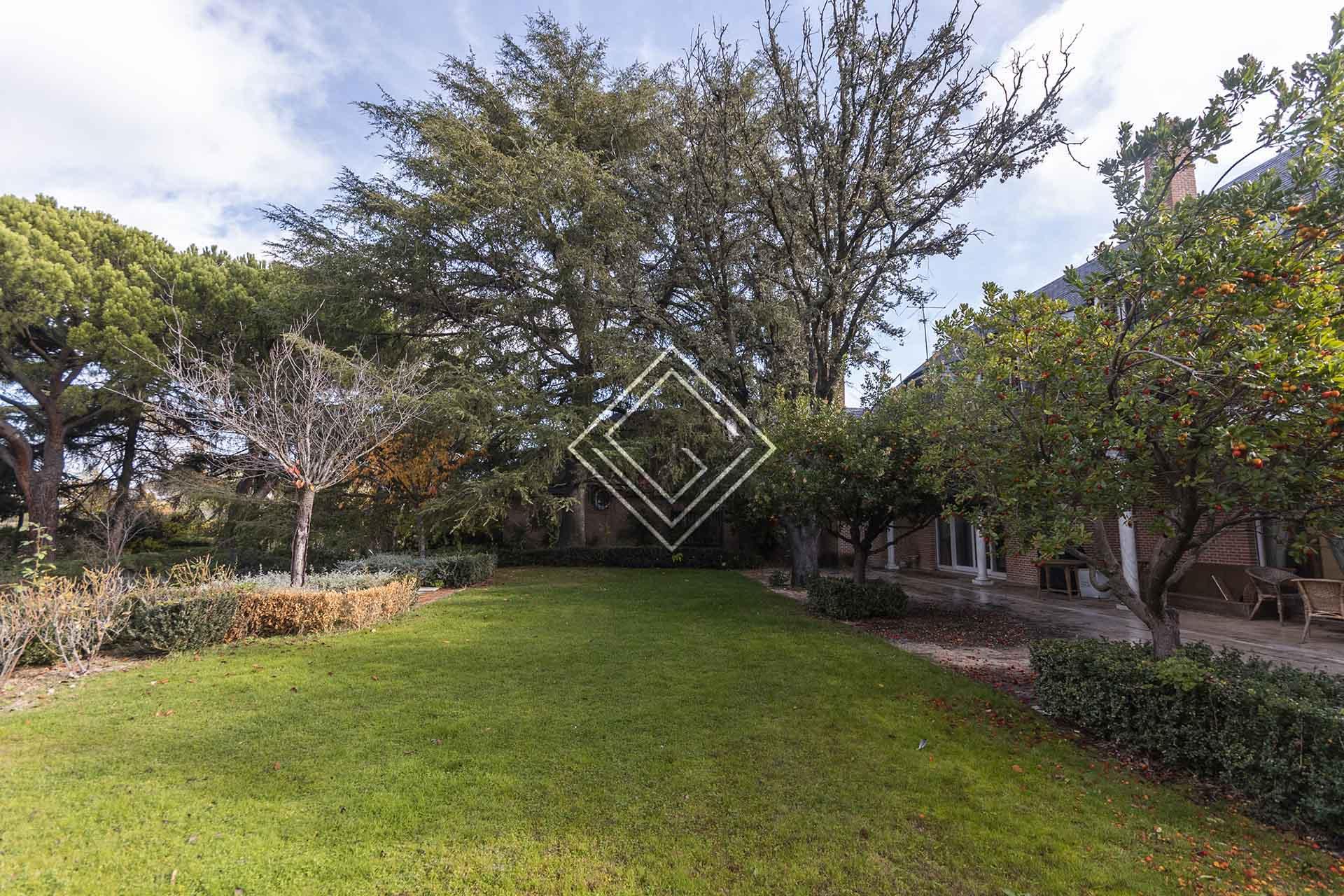 Imagen 19 de la propiedad