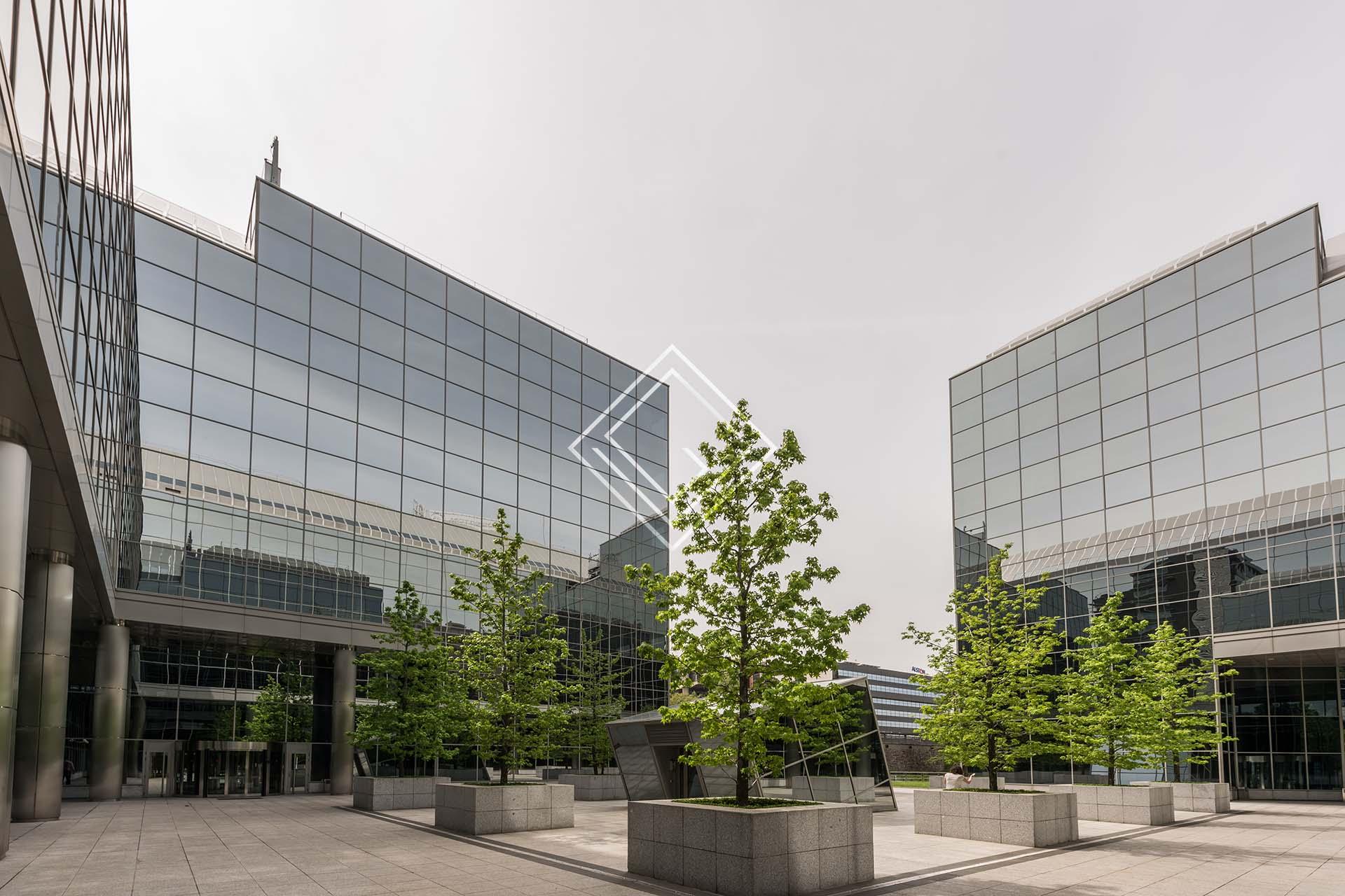 Imagen 6 de la propiedad