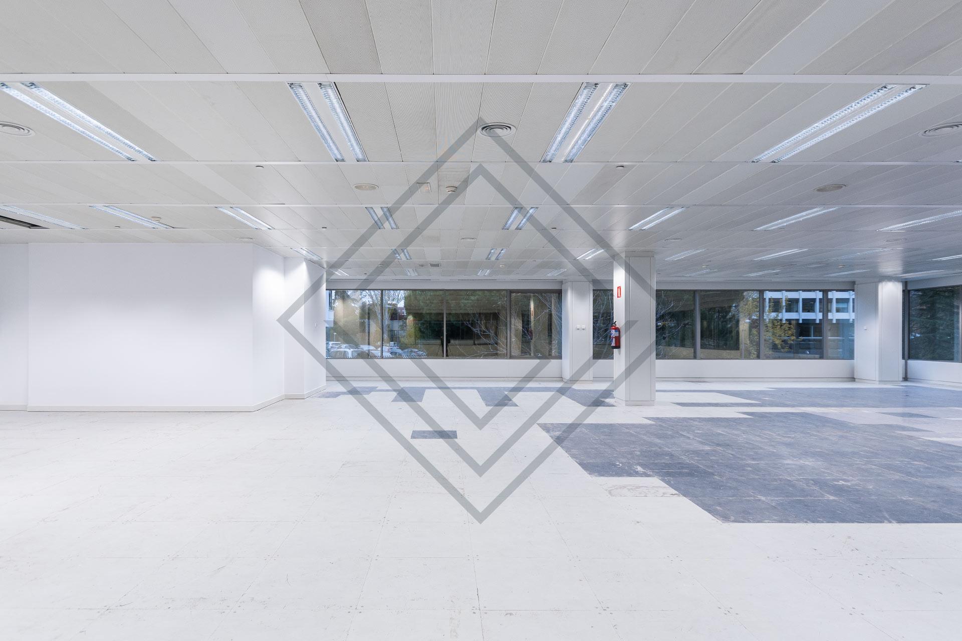 Imagen 19 de la propiedad