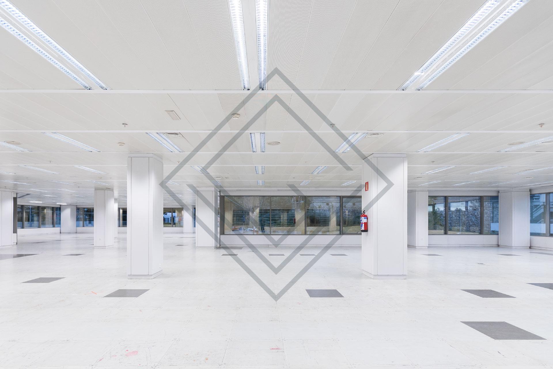 Imagen 5 de la propiedad