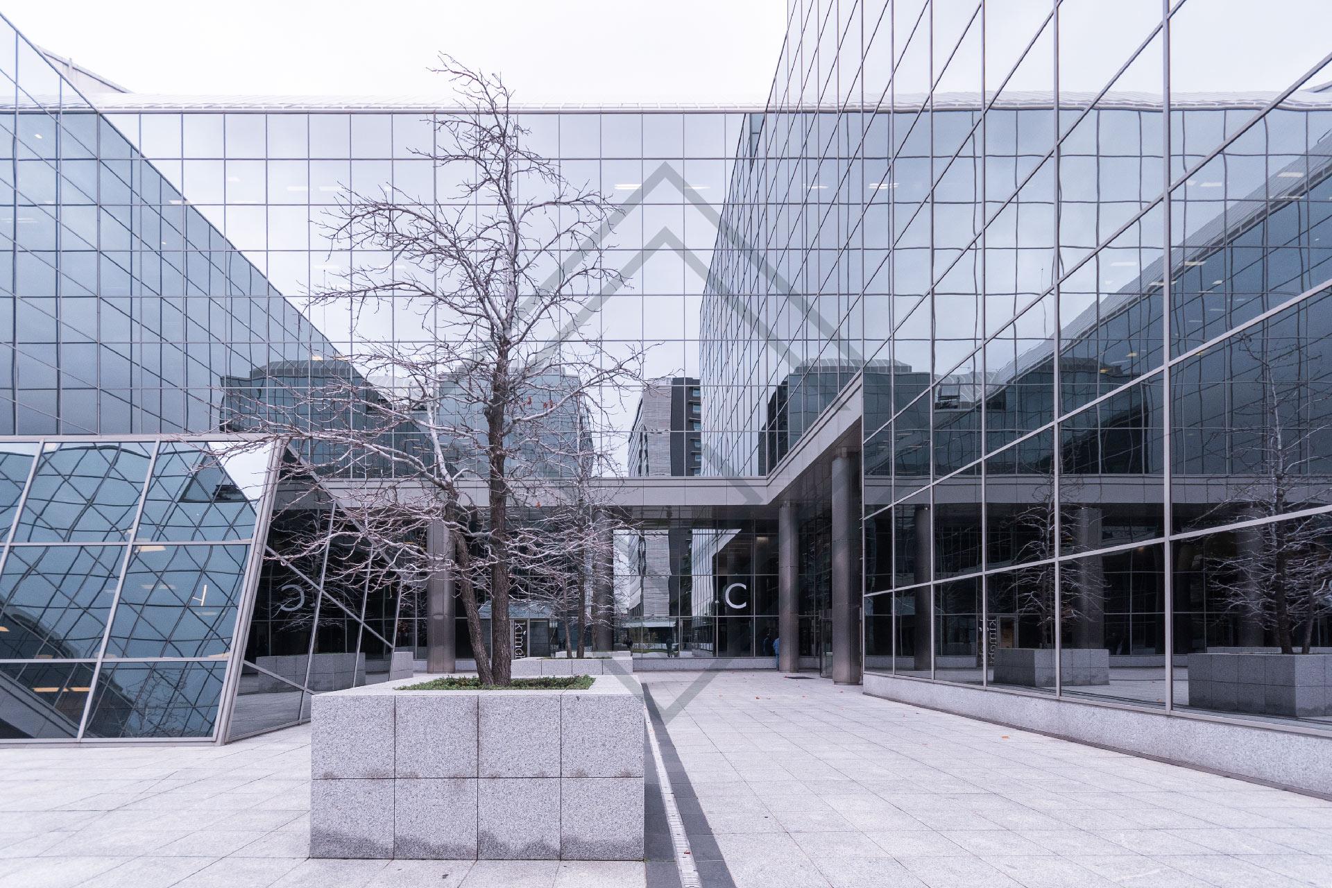 Imagen 38 de la propiedad