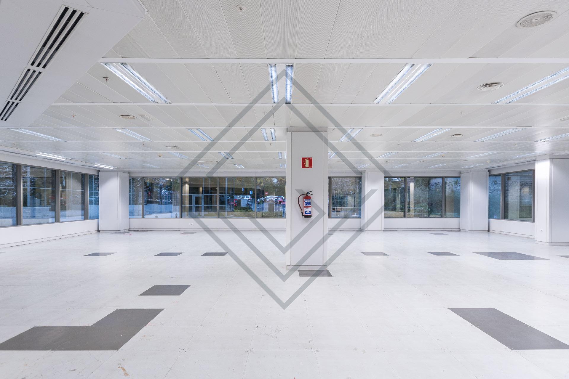 Imagen 12 de la propiedad