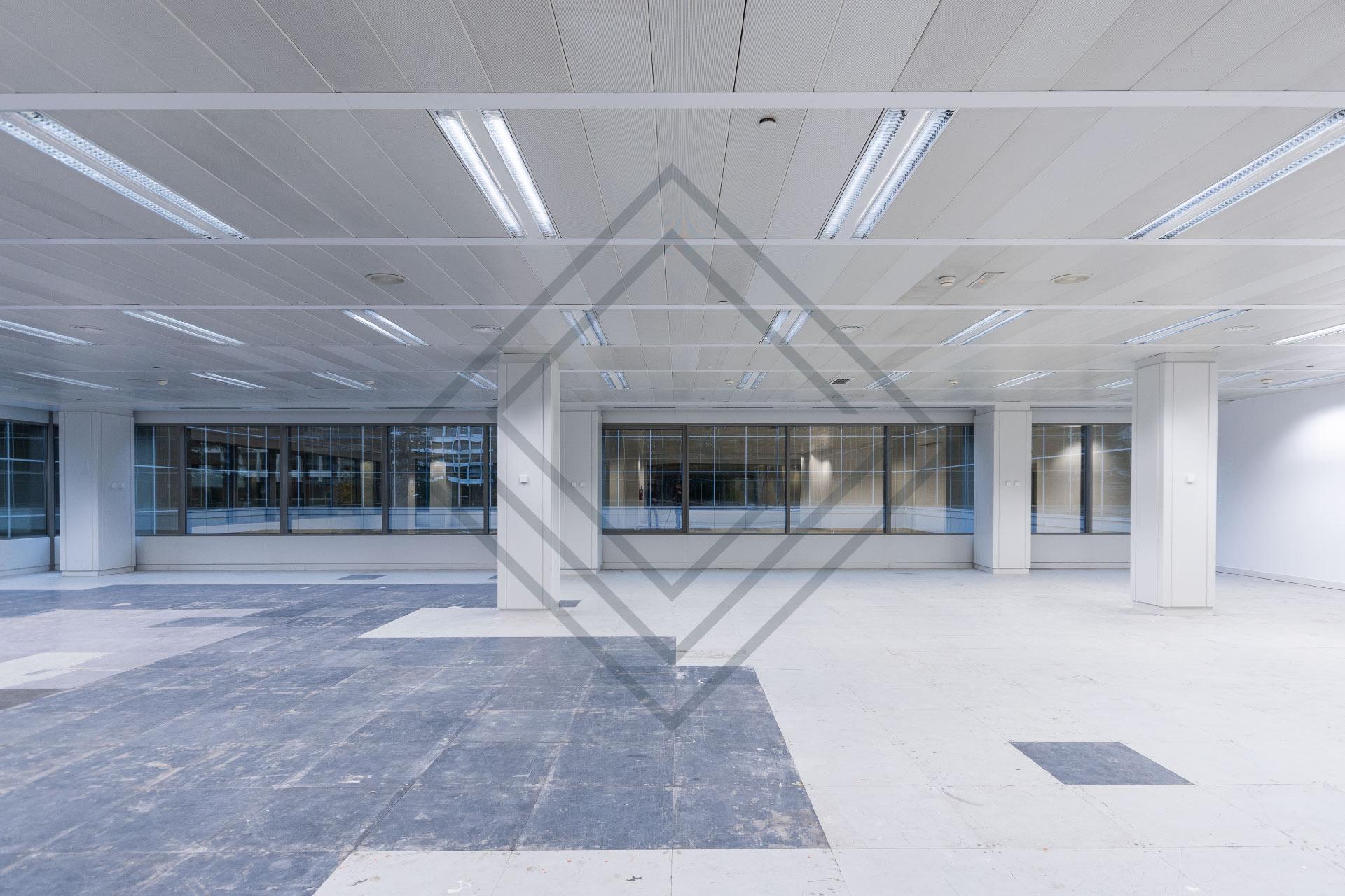 Imagen 24 de la propiedad