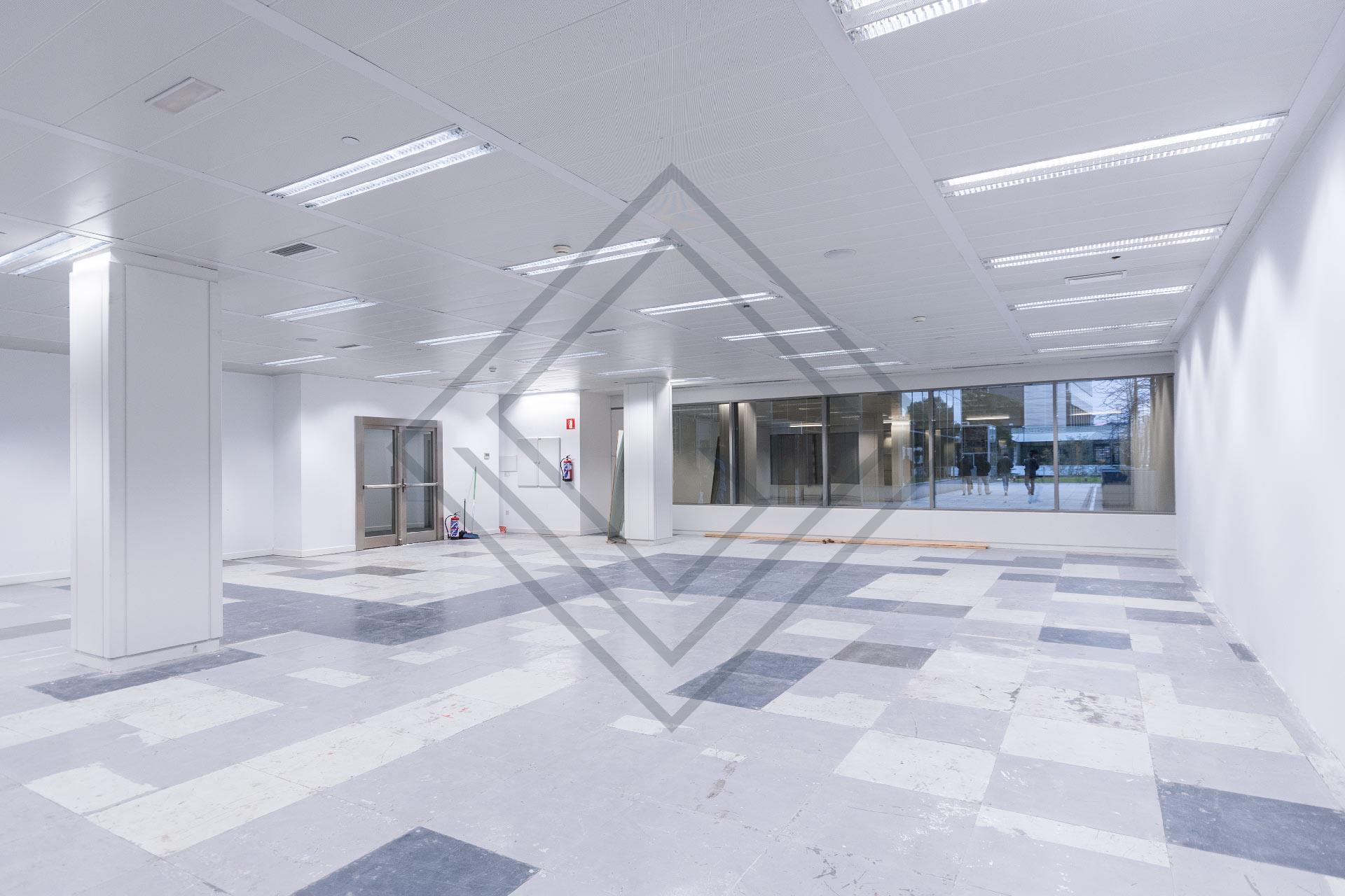 Imagen 31 de la propiedad