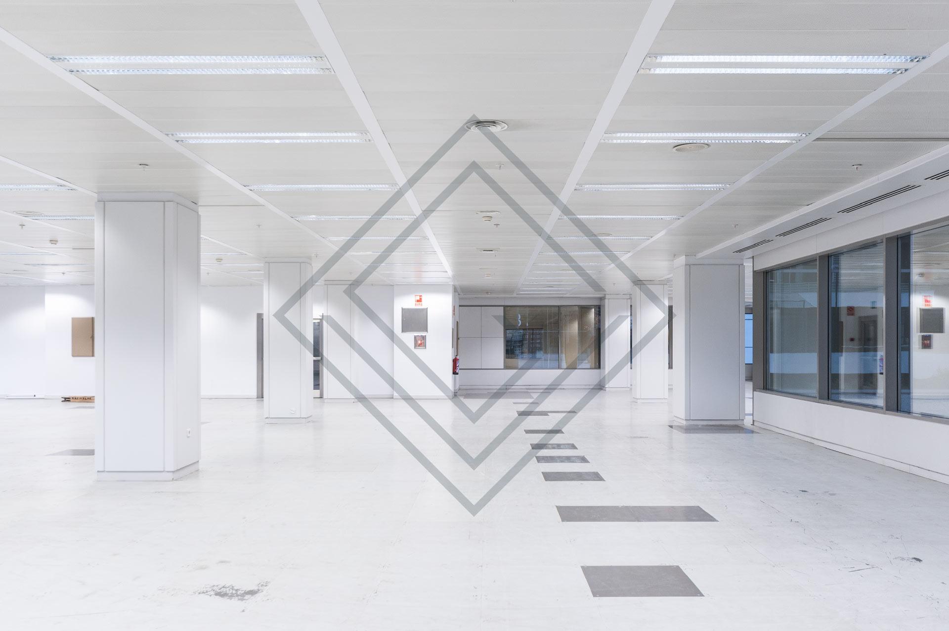 Imagen 8 de la propiedad