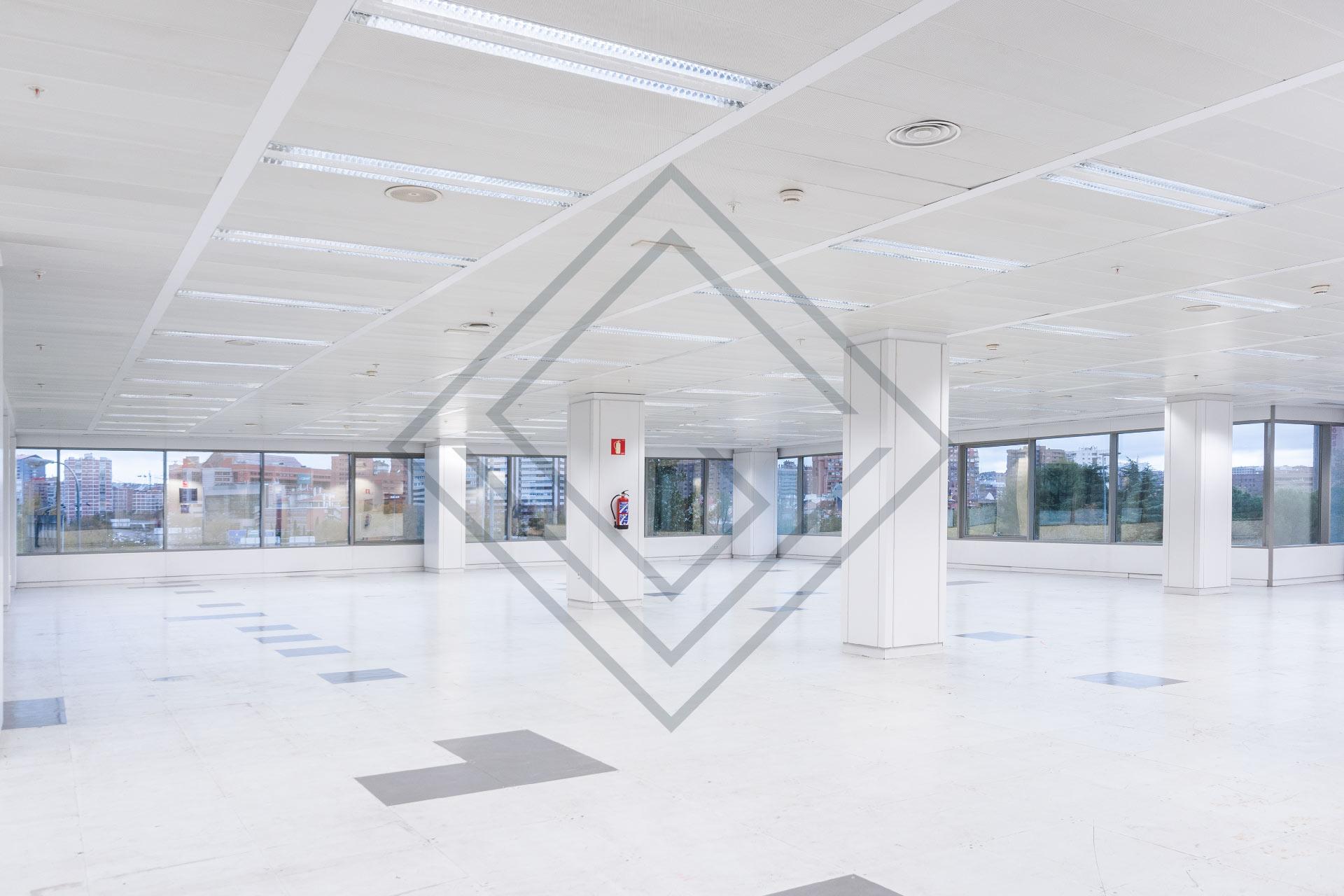 Imagen 12 de la propiedad