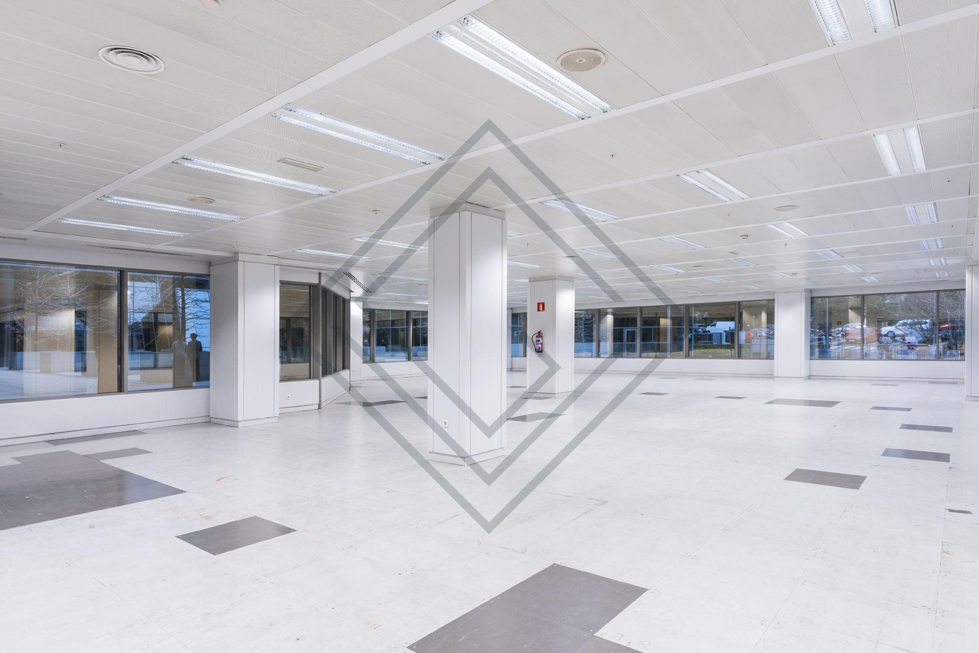 Imagen 9 de la propiedad