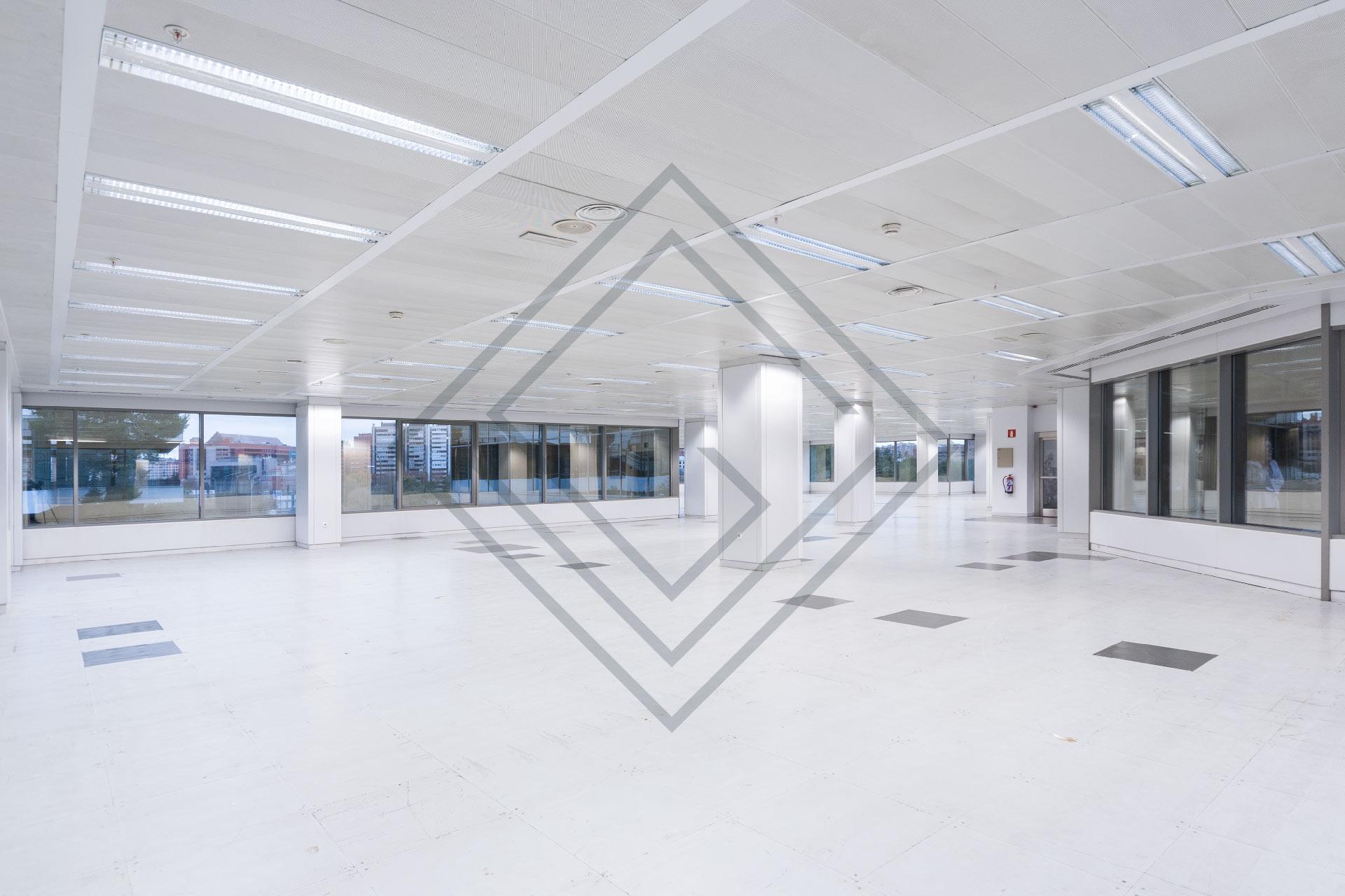 Imagen 14 de la propiedad