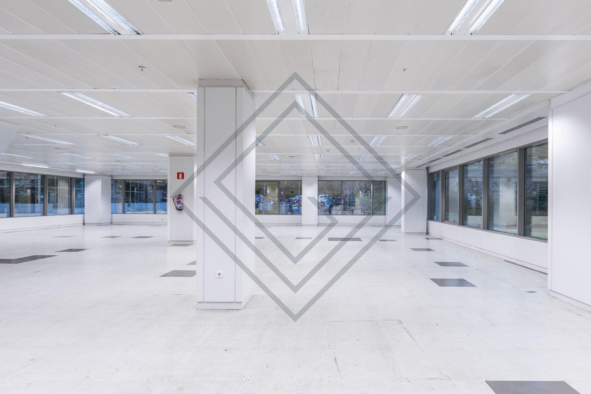 Imagen 10 de la propiedad