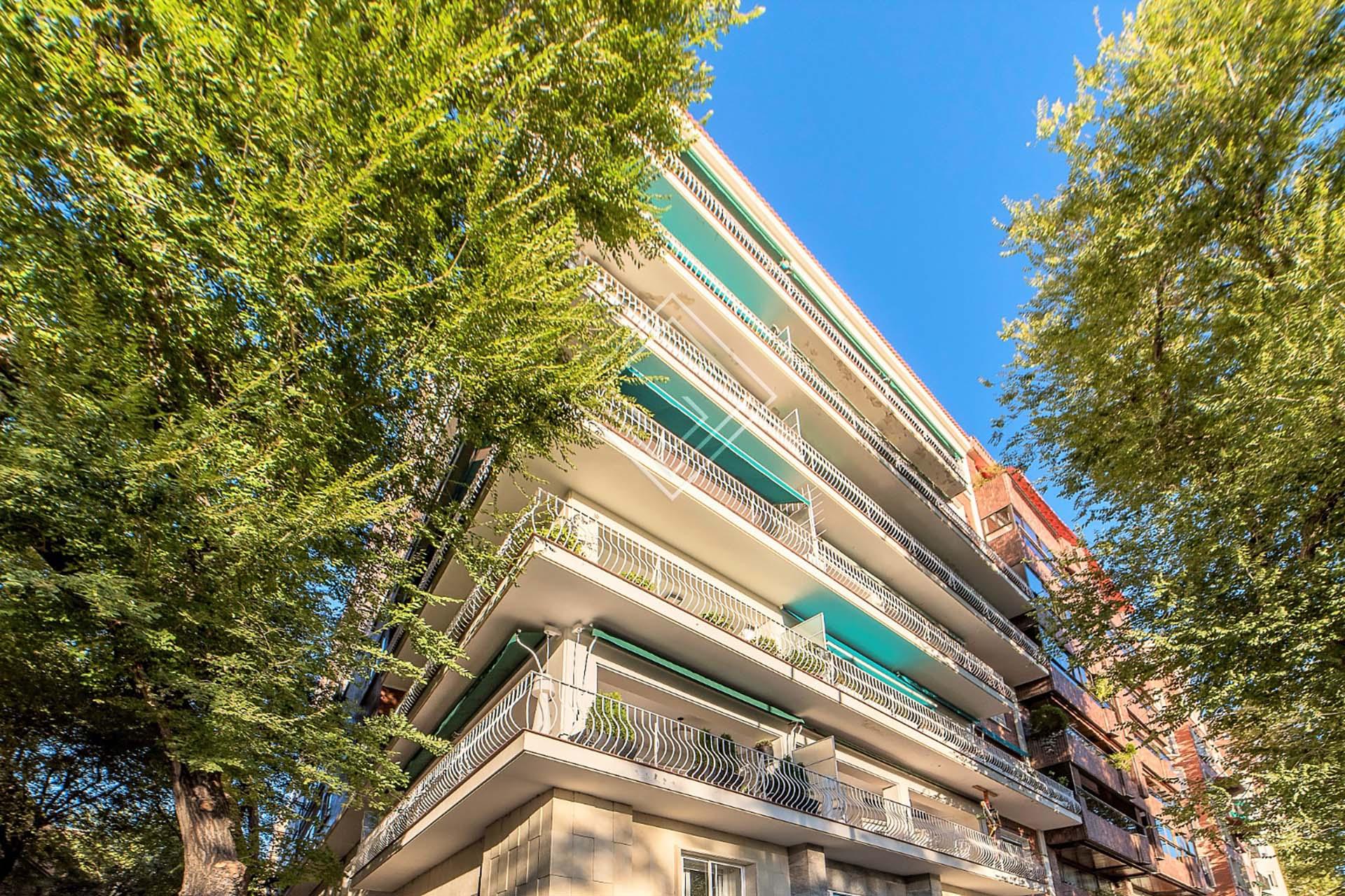 Imagen 31 de la propiedad