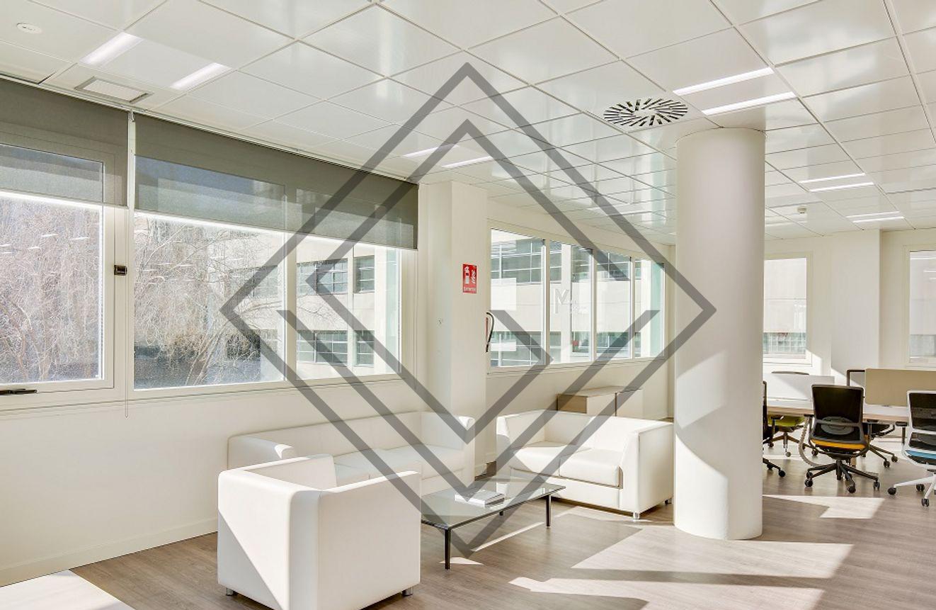 Imagen 7 de la propiedad