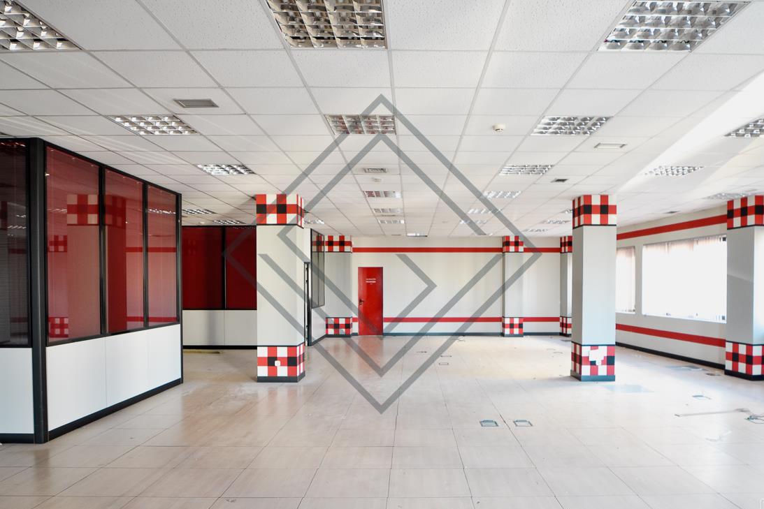 Imagen 5 de la propiedad