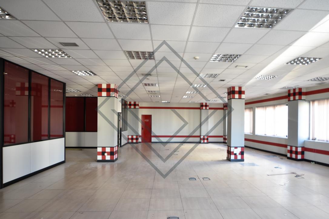 Imagen 6 de la propiedad