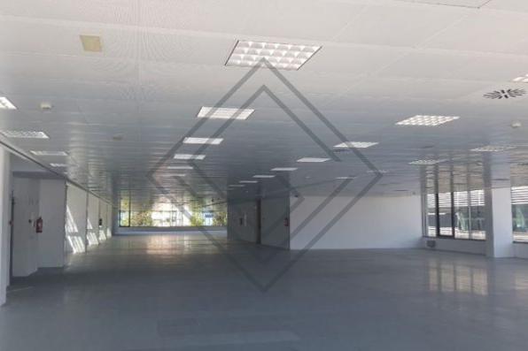 Imagen 5 de la propiedad