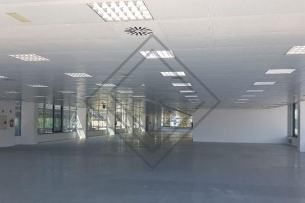 Imagen 4 de la propiedad