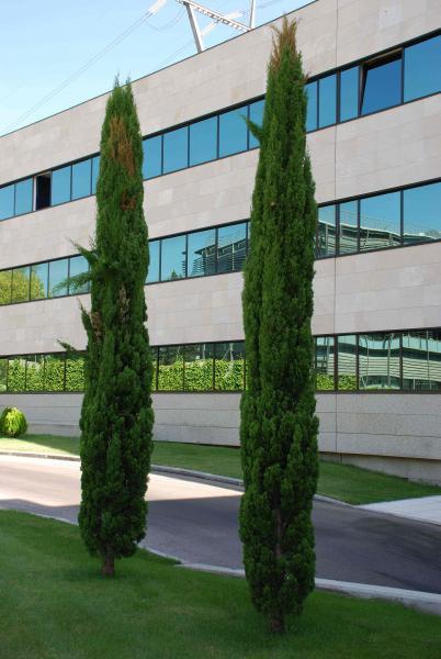 Imagen 8 de la propiedad