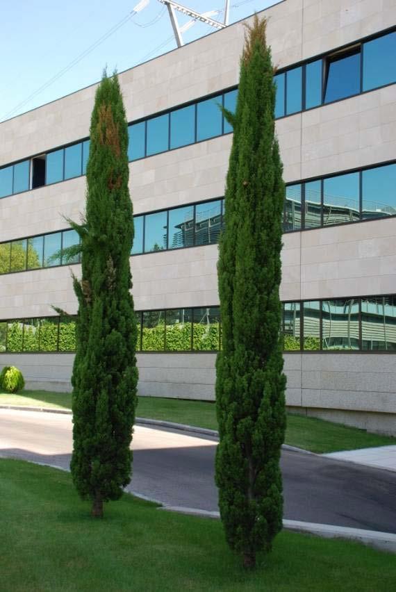 Imagen 18 de la propiedad