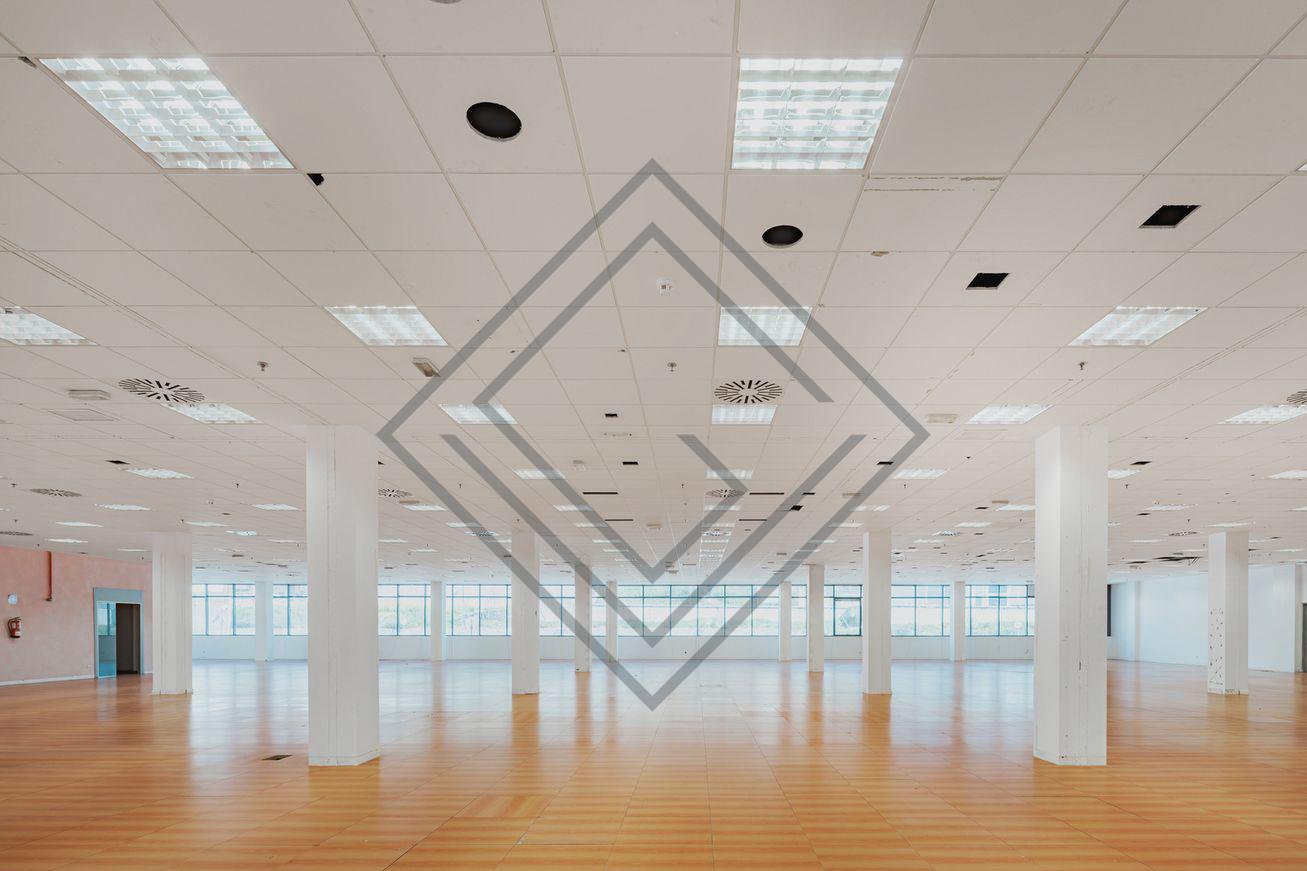 Imagen 15 de la propiedad