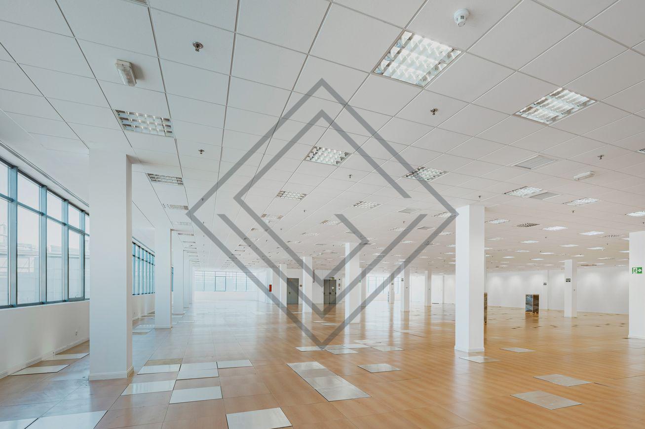 Imagen 16 de la propiedad