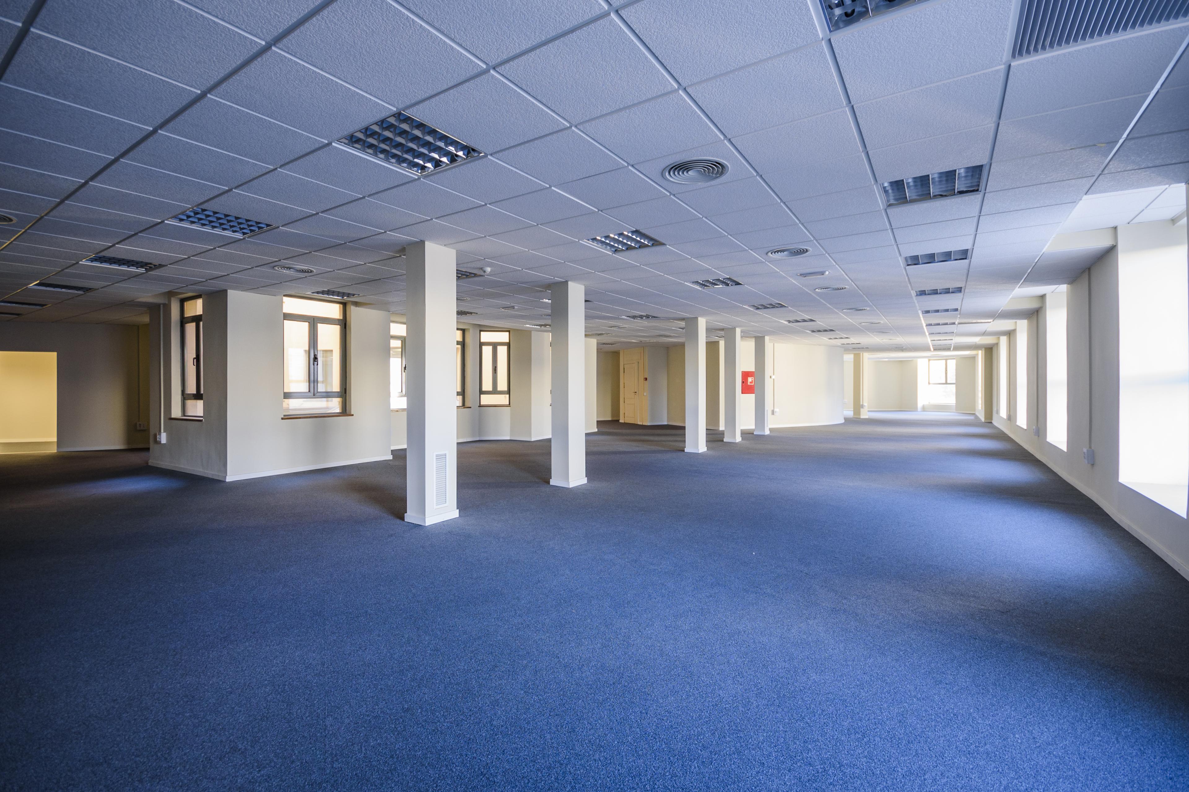 Imagen 5 de la propiedad