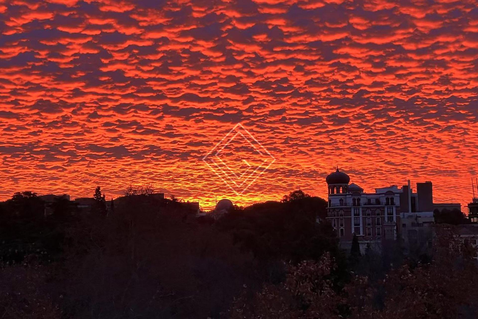 Imagen 33 de la propiedad