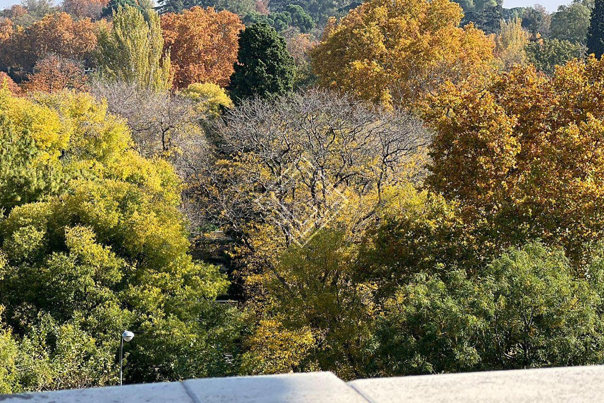 Imagen 32 de la propiedad