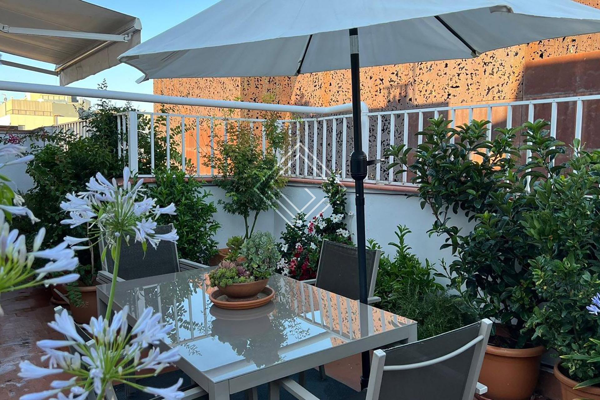 Imagen 28 de la propiedad