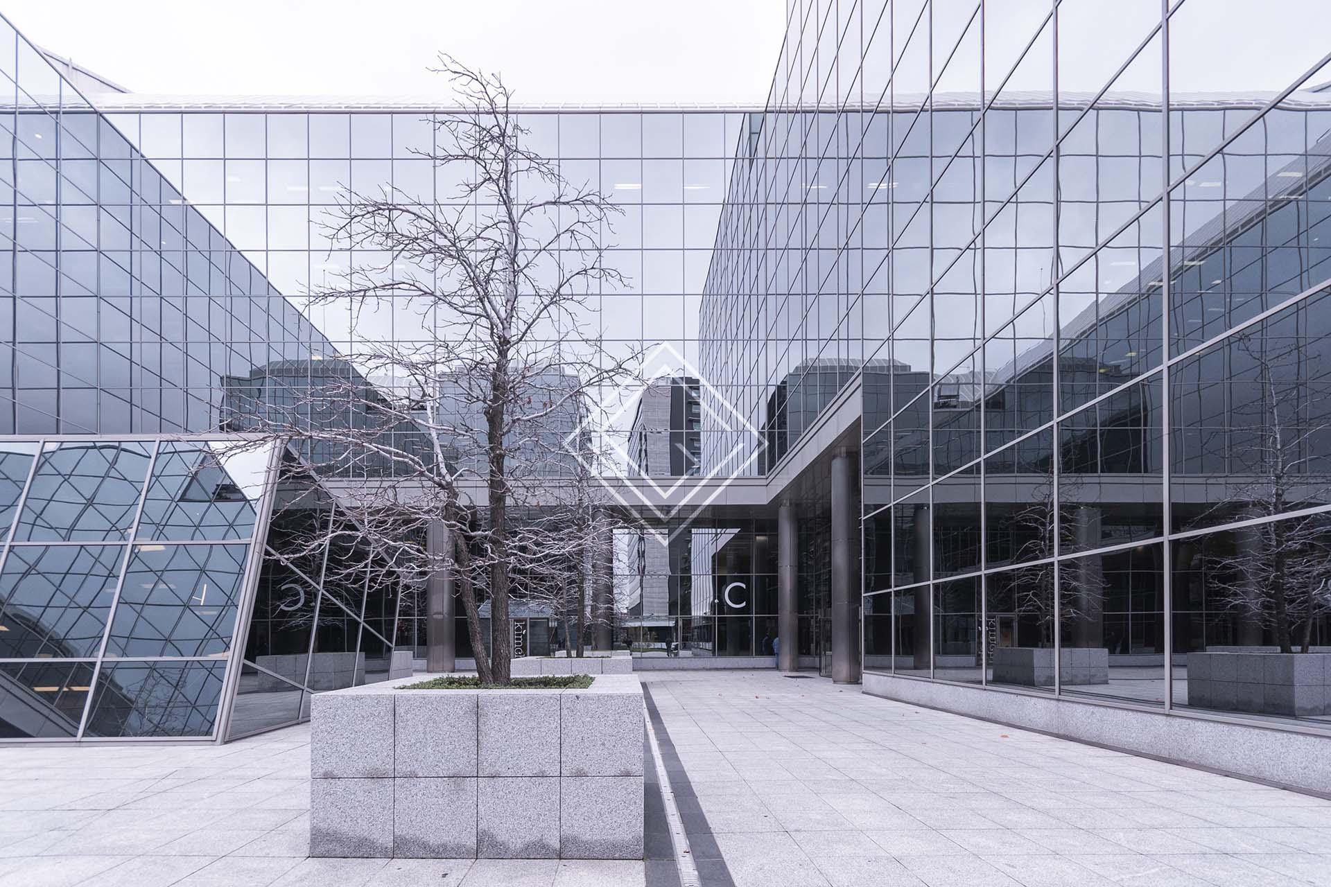 Imagen 11 de la propiedad