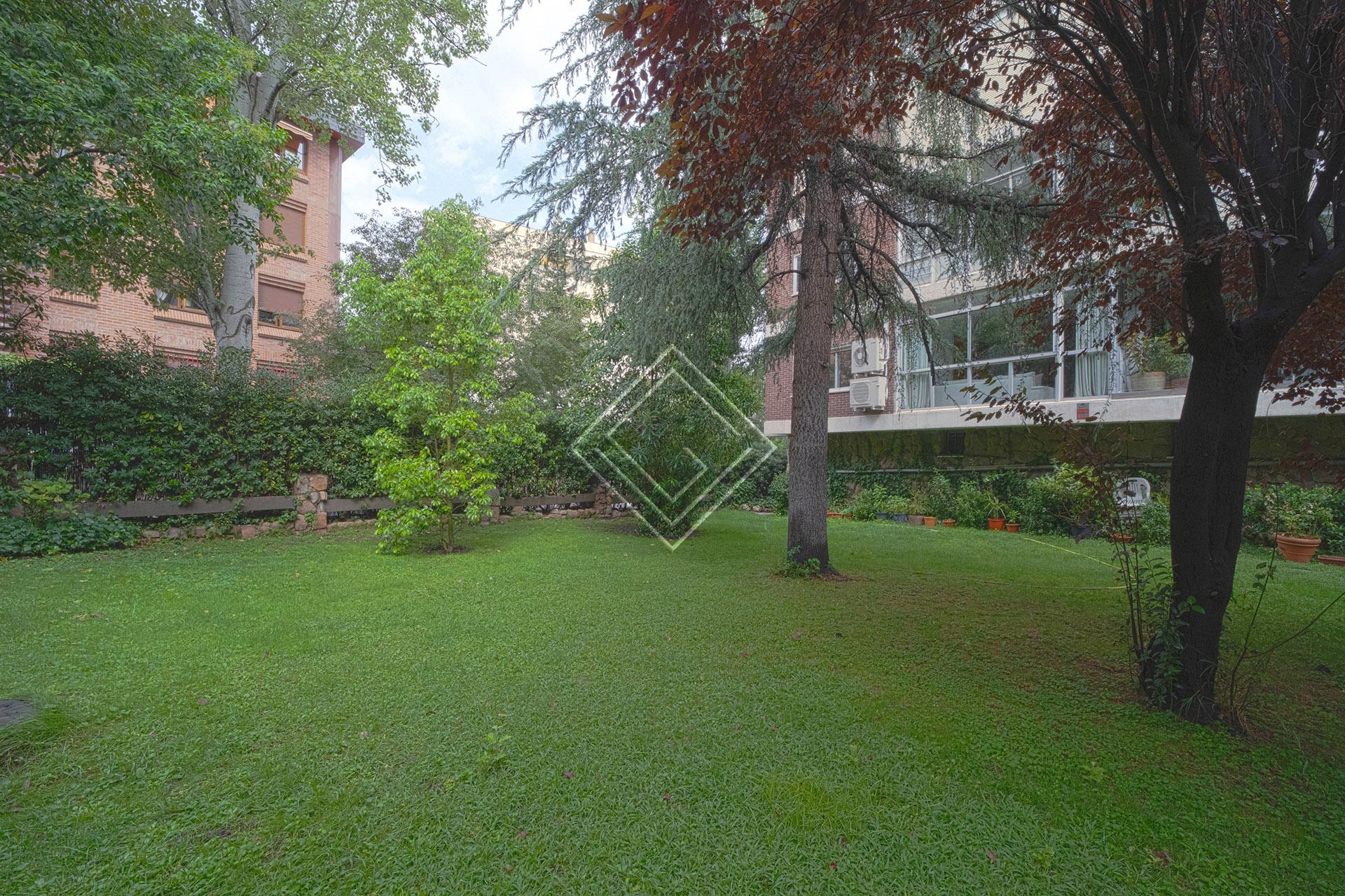 Imagen 52 de la propiedad