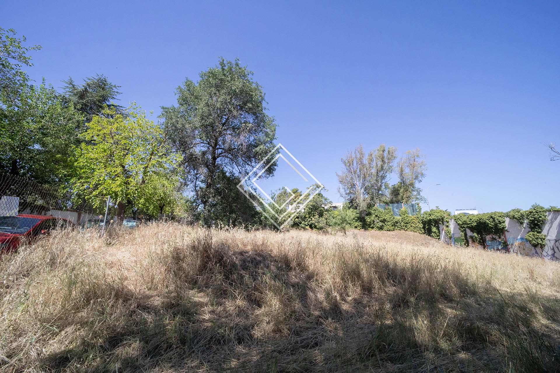 Imagen 6 de la propiedad