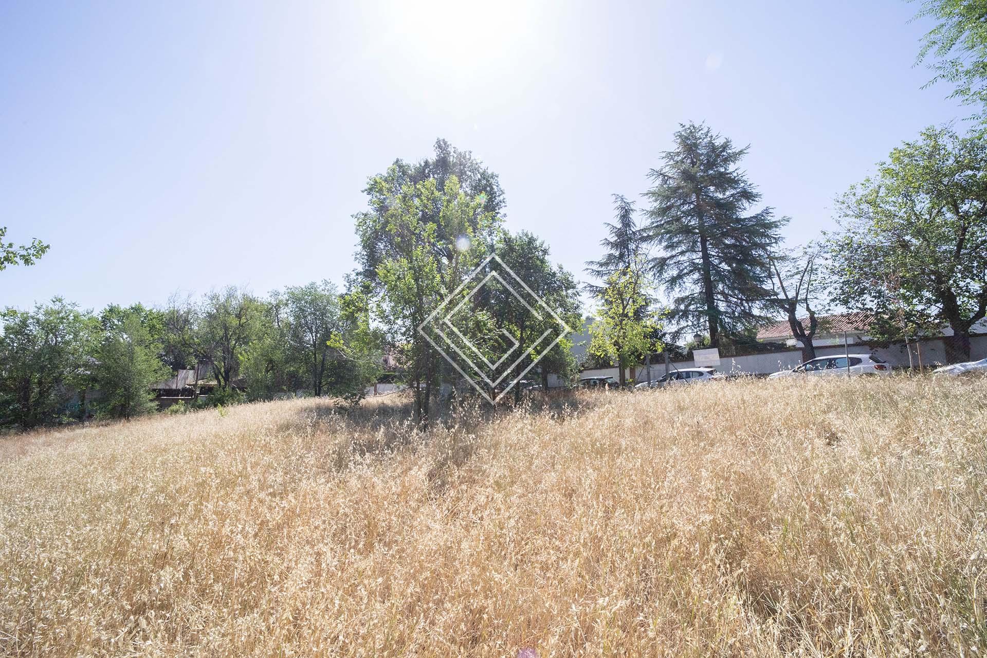 Imagen 4 de la propiedad