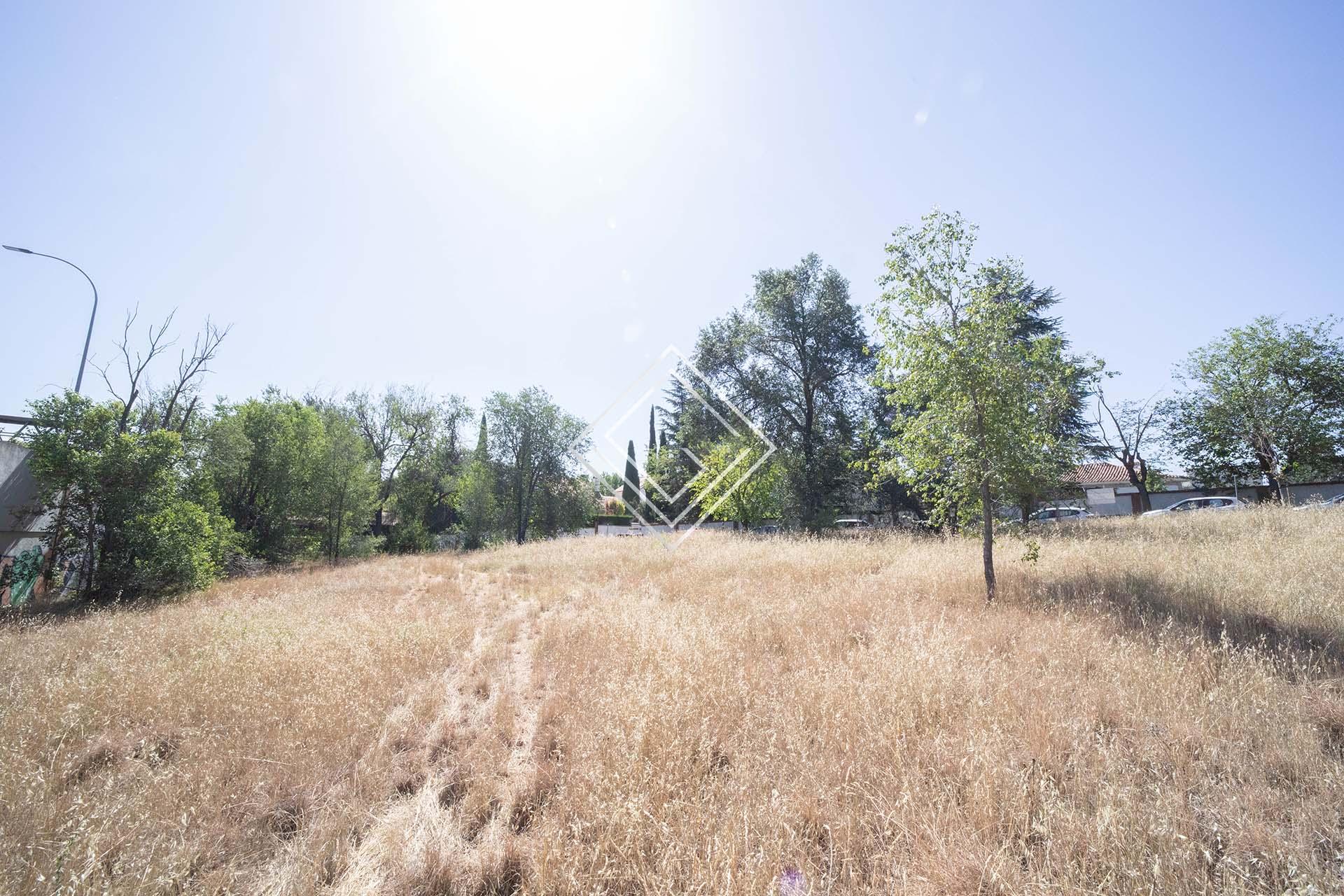 Imagen 3 de la propiedad