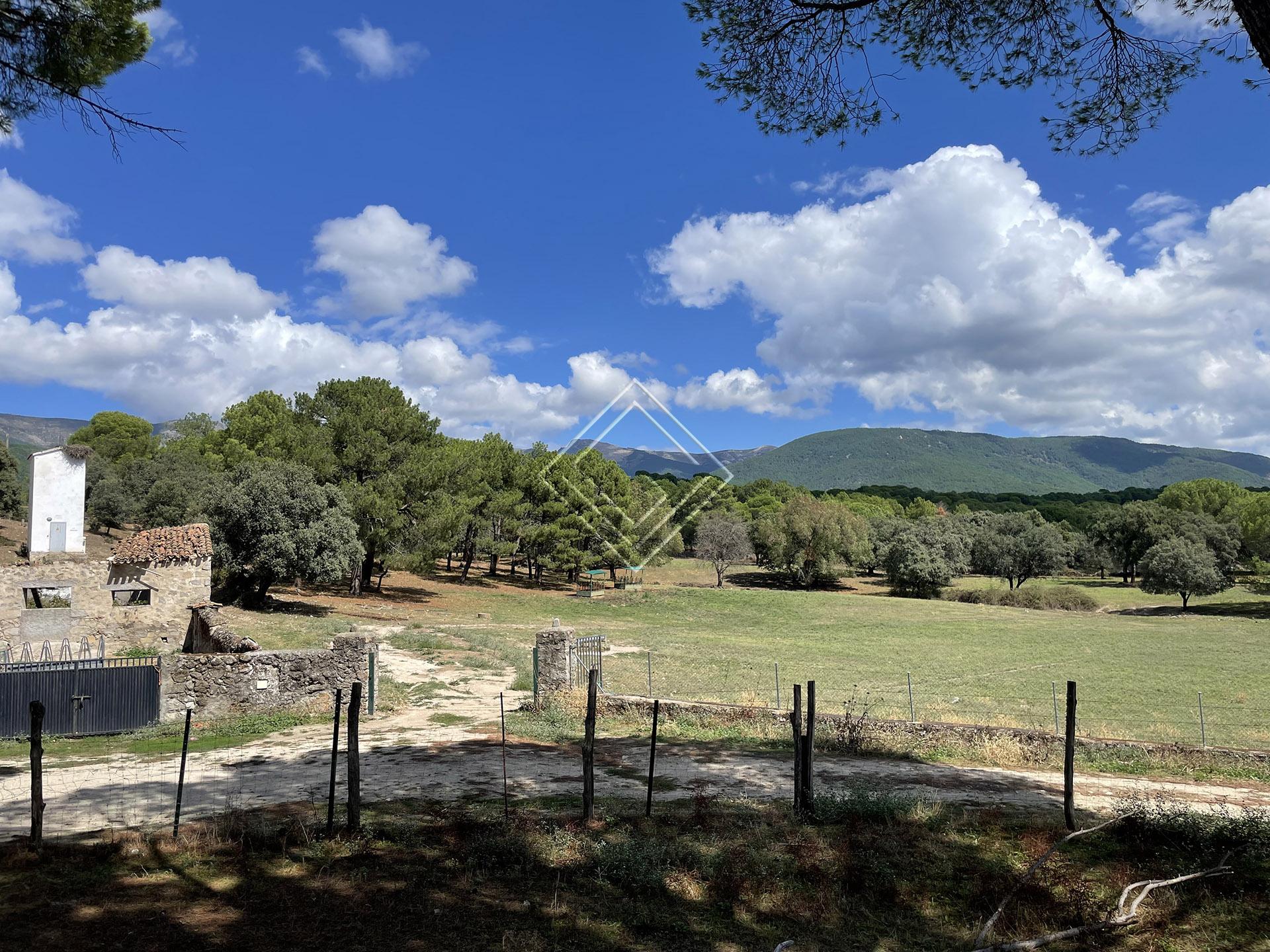 Imagen 21 de la propiedad