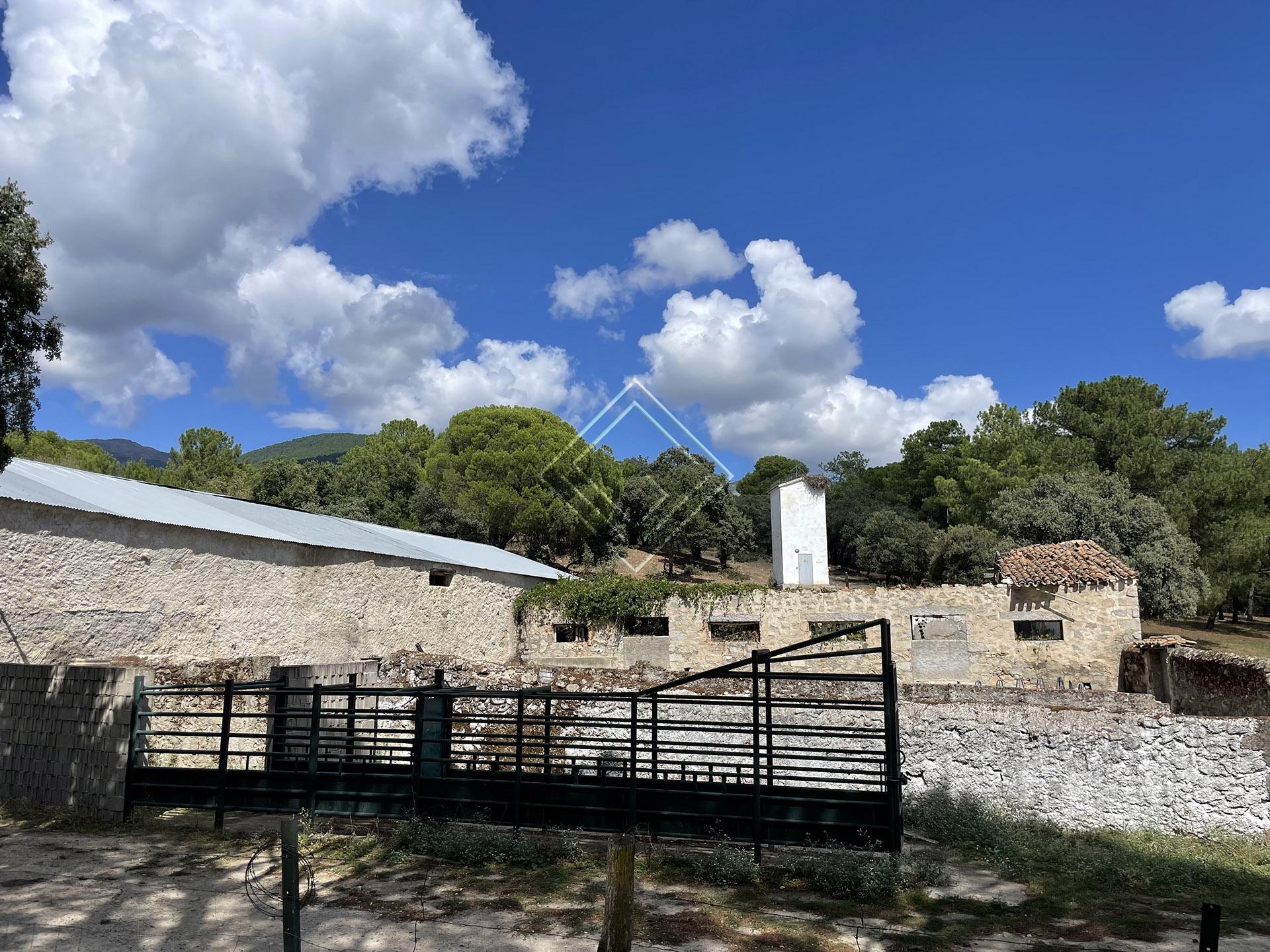 Imagen 25 de la propiedad